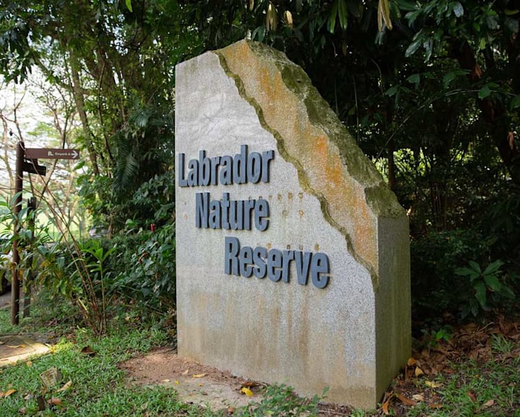 200ha nature park network to link Labrador Nature Reserve to nearby green spaces by 2025