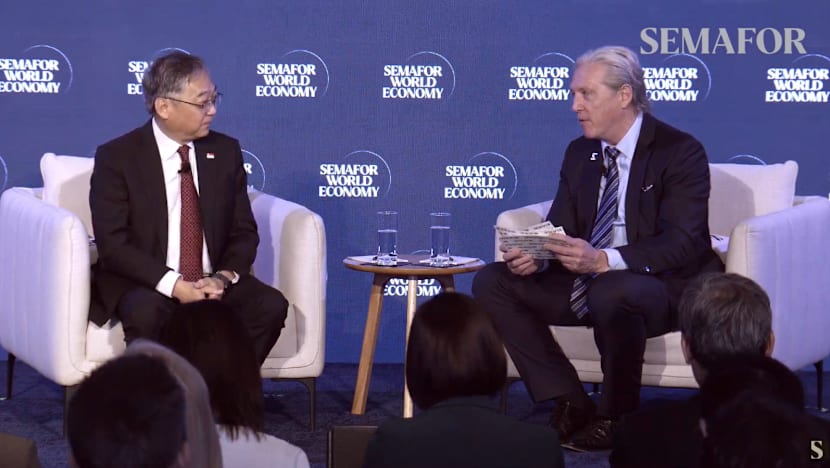 Singapore won't be too tight on AI or let it 'run wild': DPM Gan at US forum