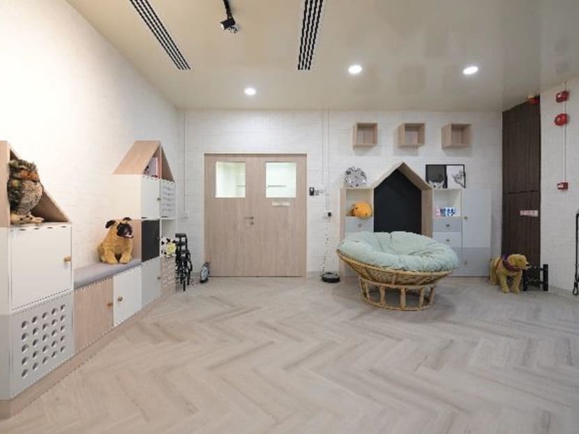 Singapore opens first dedicated facility for animal behavioural rehabilitation