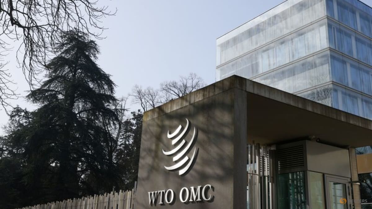 Explainer-What is the World Trade Organization e-commerce moratorium?