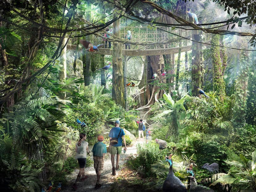 An artist's impression of the rainforest walk at Mandai's integrated nature and wildlife hub. Photo: Mandai Park Holdings An artist's impression of the rainforest walk at Mandai's integrated nature and wildlife hub. Photo: Mandai Park Holdings