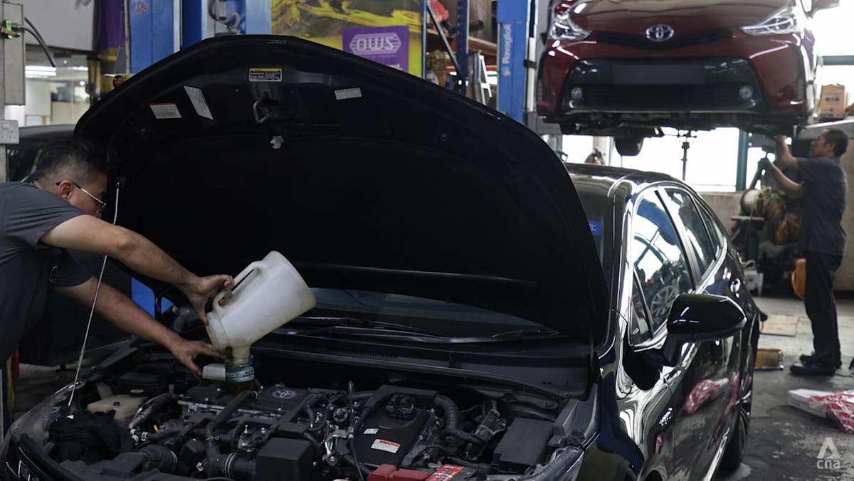 'We might not be here in 10 years': Car workshops face uncertain future as EVs gain ground