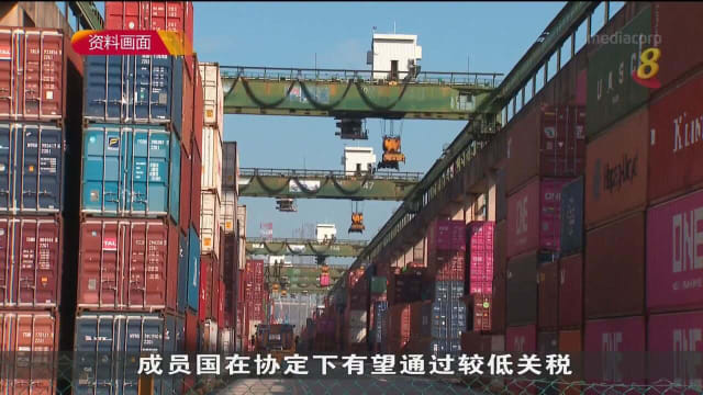 颜金勇：CPTPP促进成员国之间贸易 加强战略合作关系