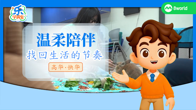 【高华快华】温柔陪伴　找回生活的节奏