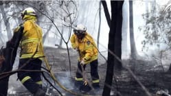 Related article image