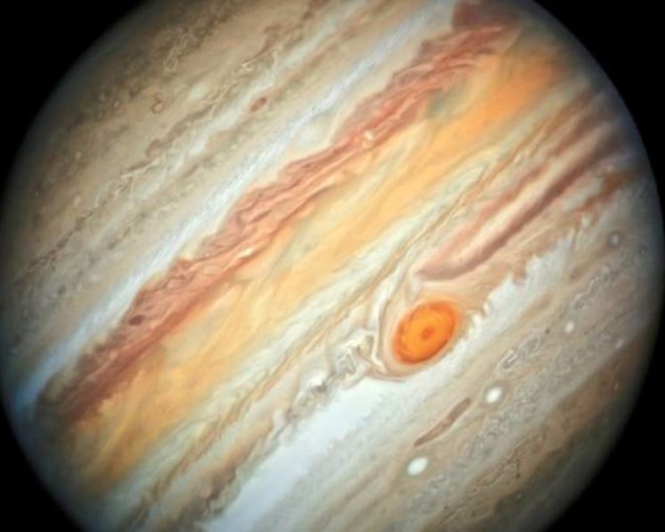 Study nixes life in clouds of Venus, but raises questions for Jupiter