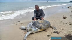 Related article image