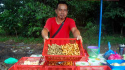 Related article image