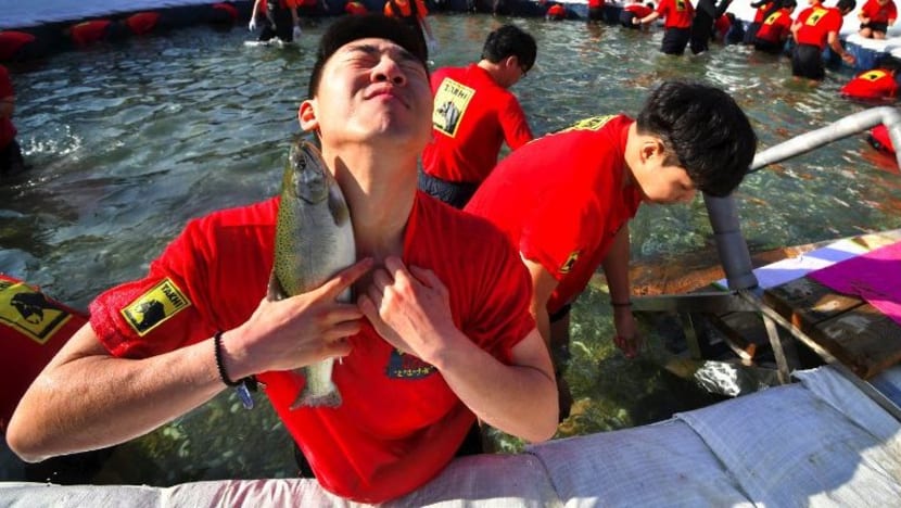 Gambar Pilihan Hari Ini