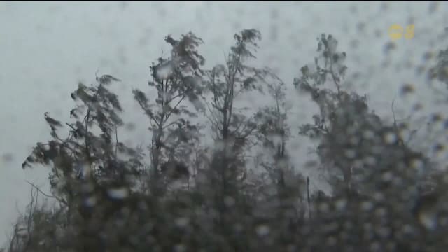 中国海南数千人疏散 台风“蝴蝶”快速逼近
