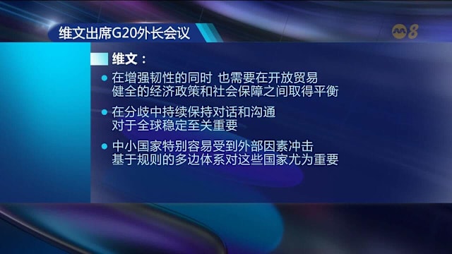 维文：G20须在不确定时期保持包容高效 应对全球秩序转变