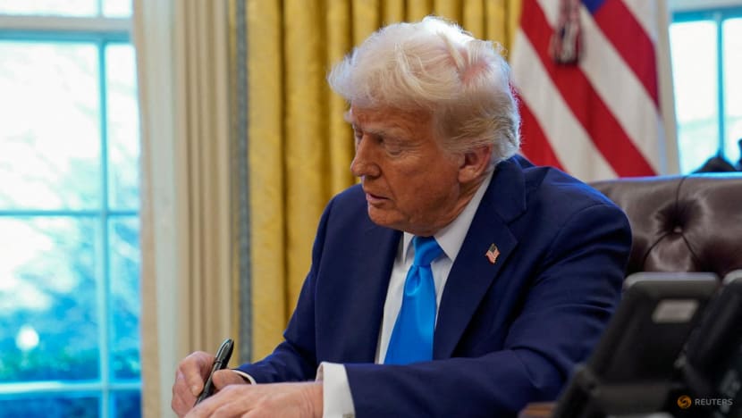 Trump’s bid to end birthright citizenship a ‘big mistake’: Legal experts, immigrant advocates 