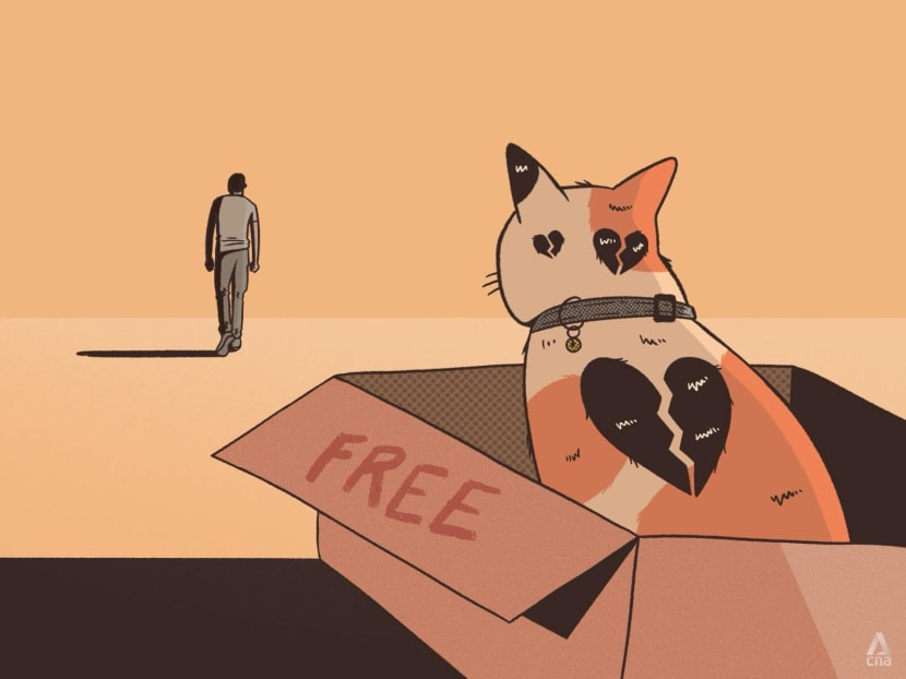 Too cheap and easy to buy: What's fuelling the rise of pet abandonment and how to address it Too cheap and easy to buy: What's fuelling the rise of pet abandonment and how to address it