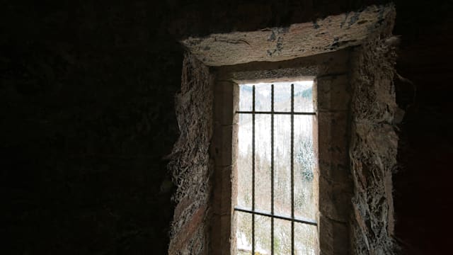 沙特去年处决356人 创下新纪录