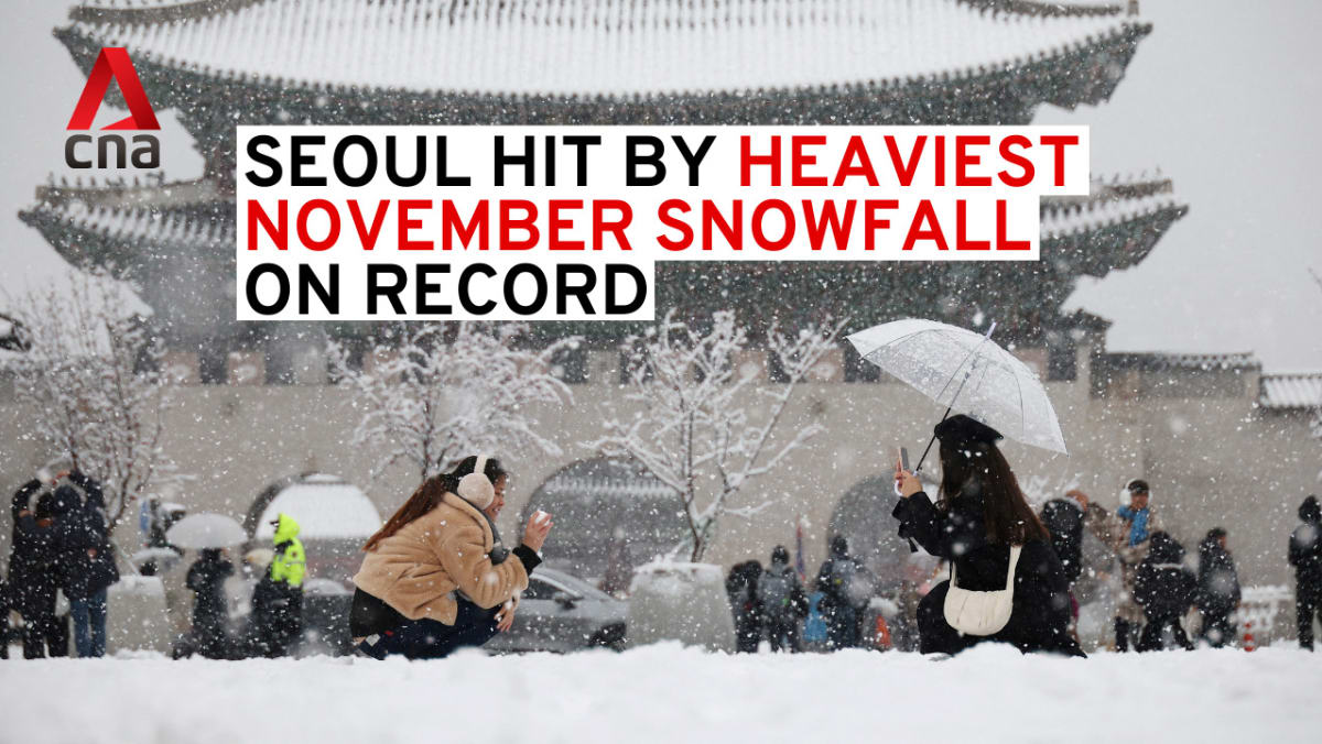 Flights cancelled after record November snowfall hits Seoul | Video - CNA