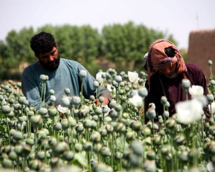 Commentary: What the Afghanistan conflict means for global heroin trade