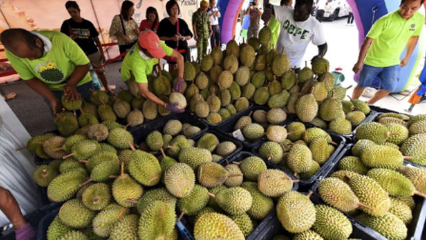 Pesta Musang King percuma tarik pengunjung jauh dan dekat