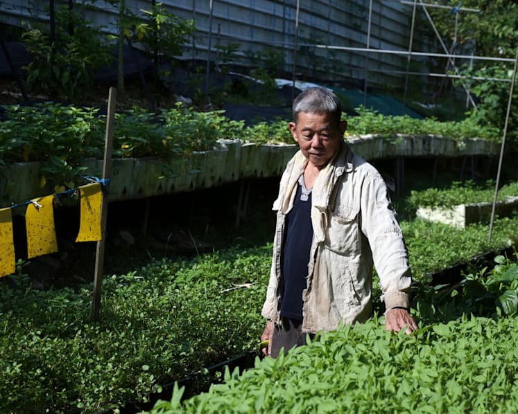 Support local or buy global: Will Singaporeans embrace local produce despite higher prices?