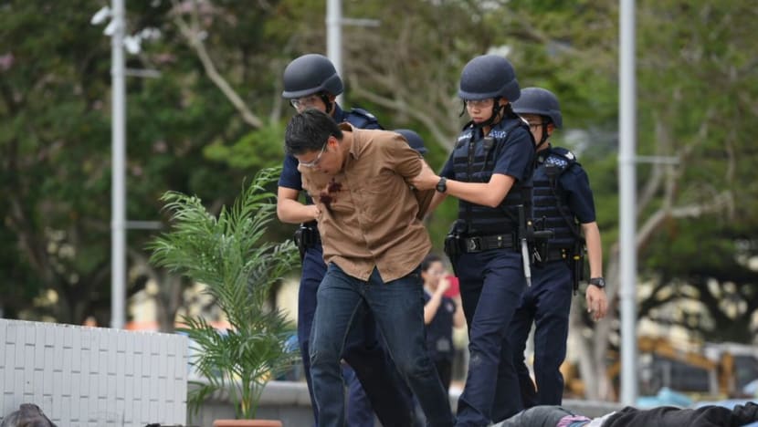 Lone wolves most worrisome in Singapore’s fight against terror
