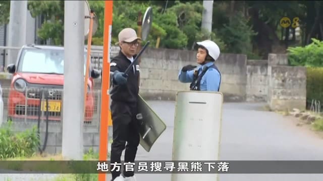 日本城市现熊踪 学校停课