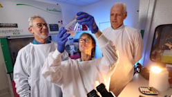 Related article image