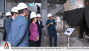 Singapore's largest industrial district cooling system begins operations in Ang Mo Kio
