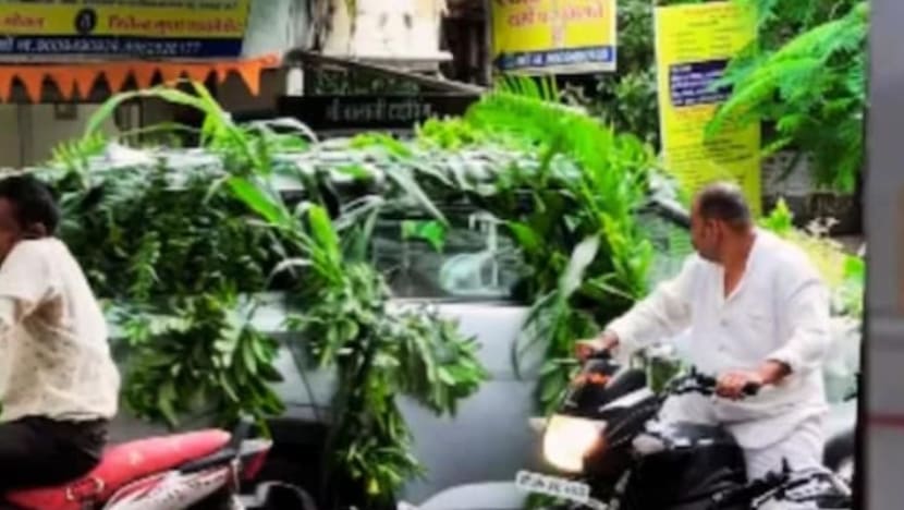 செடியில் காரா? காரில் செடியா? செடியில் காரா? காரில் செடியா?