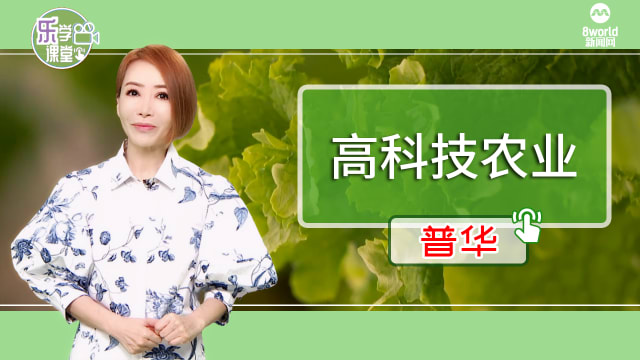 【普华】化学博士致力发展高科技农业   本地有望自产葡萄