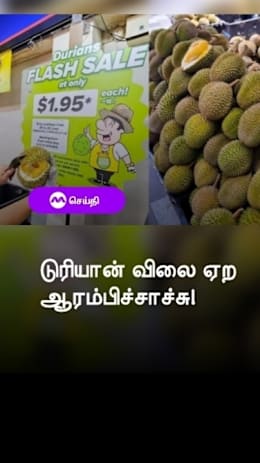 டுரியான் விலை ஏற