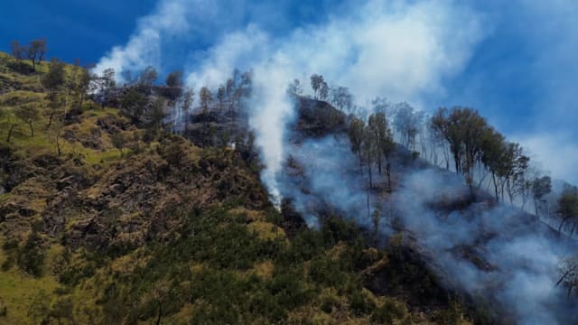 印尼布罗莫火山爆发林火 已烧毁超过120公顷林地