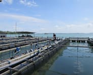 Singapore to inject S$70 million over five years to boost local farm output