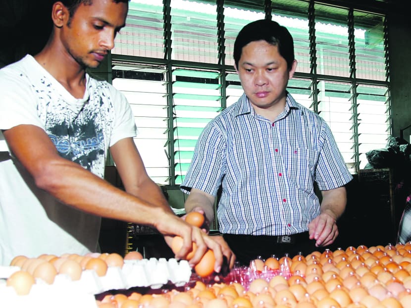 This Singapore farmer is one tough egg to crack