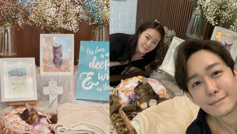 Jesseca Liu And Jeremy Chan Mourn Their Cat’s Death; Say He Went To “Chop A Seat” In Heaven First Jesseca Liu And Jeremy Chan Mourn Their Cat’s Death; Say He Went To “Chop A Seat” In Heaven First