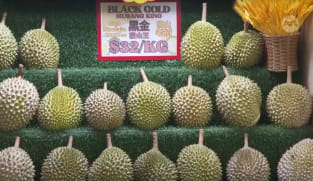 Durian prices in Singapore expected to drop by up to 30% in July at peak harvest period