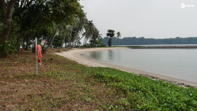 海洋生态园完成升级 大姐妹岛重开亮点抢先看