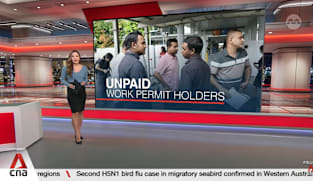 Firms investigated after more than 100 workers gather over unpaid salaries