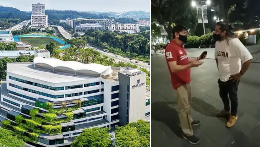 Ngee Ann Poly suspends teaching staff member seen in racist video confronting inter-ethnic couple