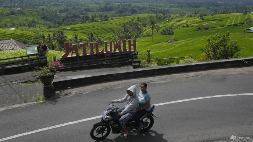'Mereka harus tahu bagaimana bersikap': Menegakkan hukum bagi turis asing yang berperilaku buruk di Bali 'Mereka harus tahu bagaimana bersikap': Menegakkan hukum bagi turis asing yang berperilaku buruk di Bali