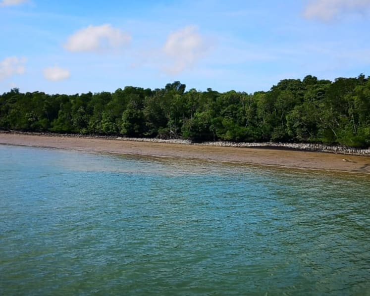 Coastal protection projects to build resilience of Singapore’s coastlines at Pulau Ubin