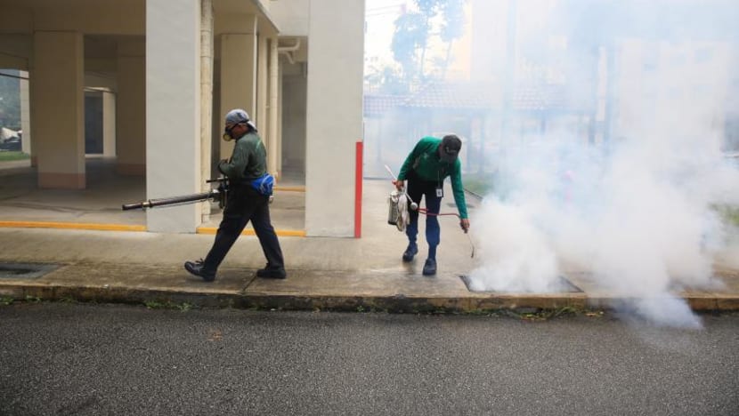 New Zika cluster in Hougang Ave 7; number of local cases hits 381