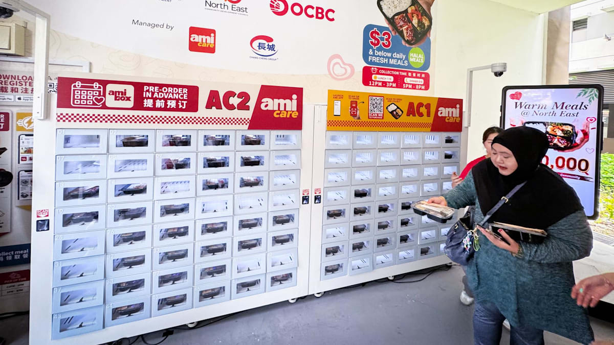 Over 3,000 lower-income residents to get free warm meals in nearby food lockers under new programme