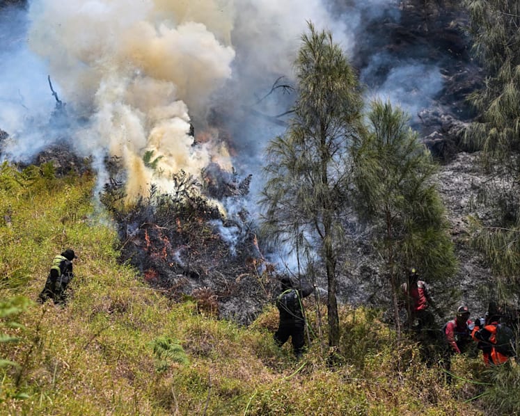 Indonesia battles Mount Bromo wildfire as El Nino takes root Indonesia battles Mount Bromo wildfire as El Nino takes root