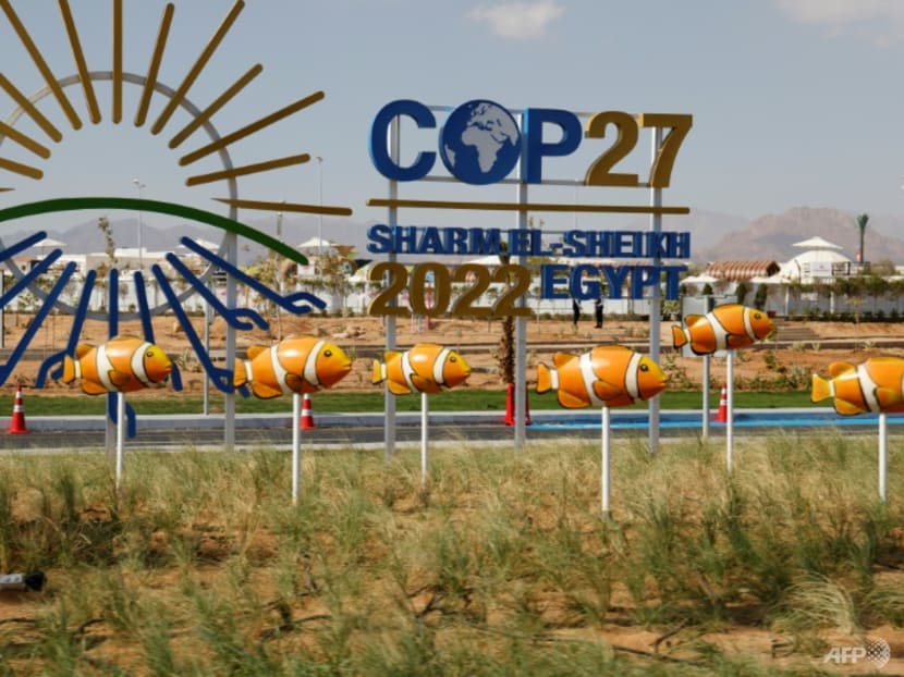 COP27: Singapore calls for global focus and action amid &lsquo;war' on climate crisis