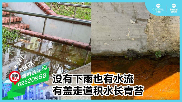 没有下雨也有水流 有盖走道积水长青苔