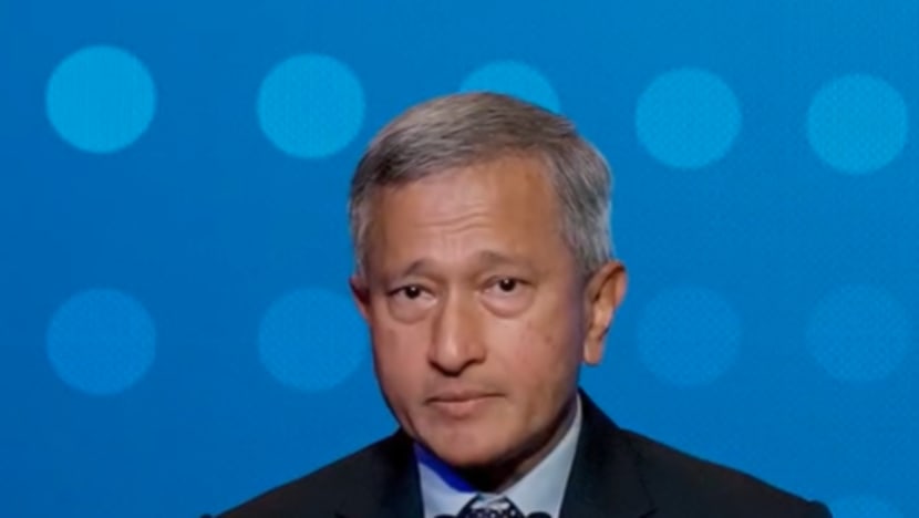 Small states must have say as world shapes new compact with tech giants: Vivian Balakrishnan