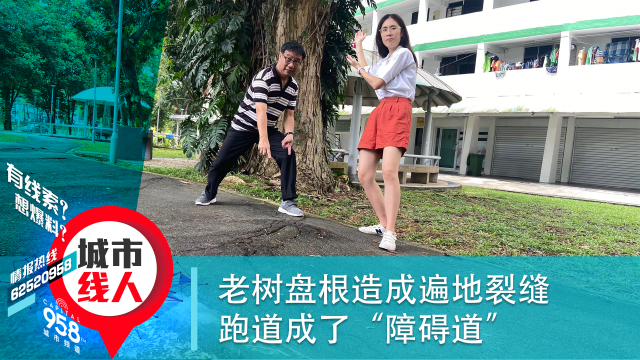 老树盘根造成遍地裂缝 跑道成了“障碍道” 