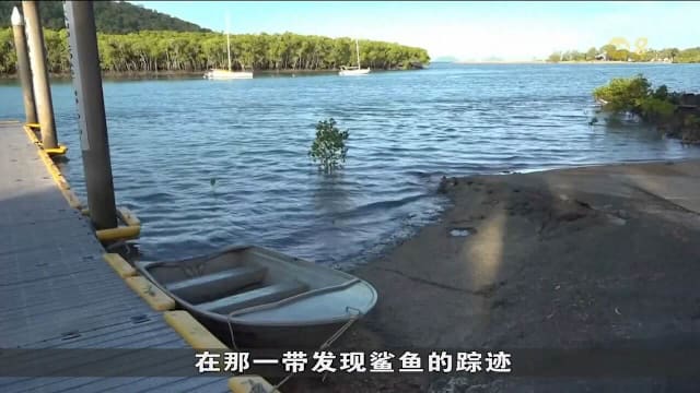 澳洲男子鱼枪捕鱼遭鲨鱼袭击