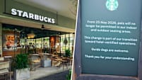 MUIS Says Starbucks S'pore Hasn’t Applied For Halal Cert, Tells It To Remove Pet Ban Sign