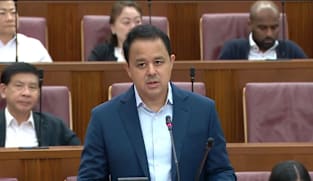 Motion: Christopher de Souza on government response to political salaries review