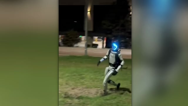 应对野猪闯入居民区 波兰出动机器人巡逻驱逐